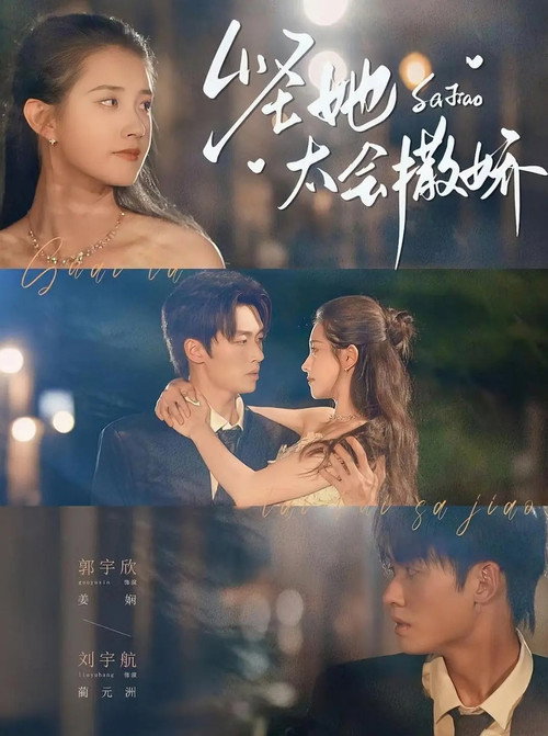 Póster de 怪她太会撒娇