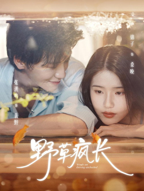 Póster de 野草疯长