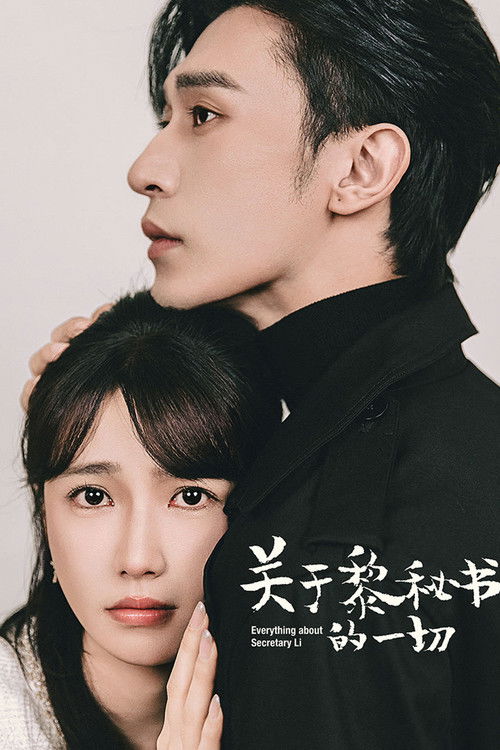 Póster de 关于黎秘书的一切
