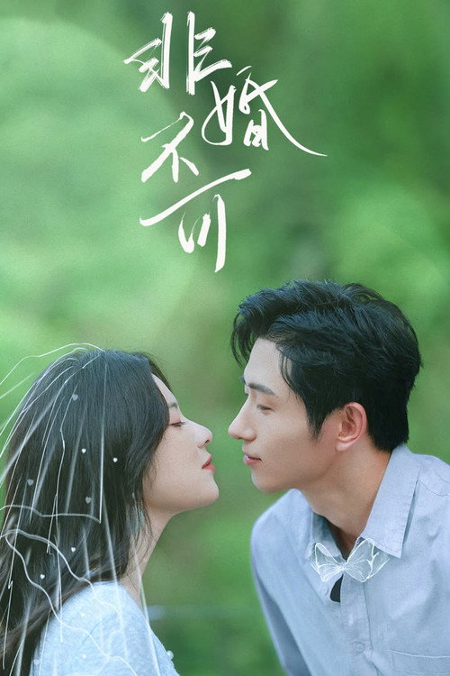 Póster de 非婚不可