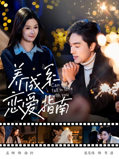 Póster de 养成系恋爱指南