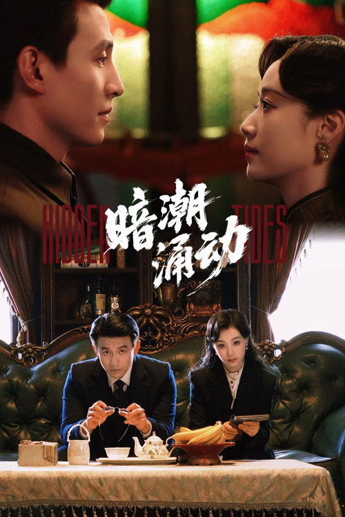 Póster de 暗潮涌动
