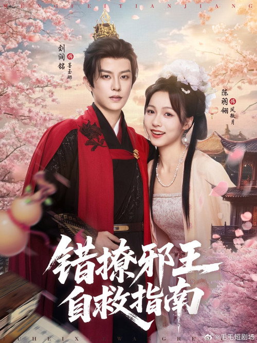 Póster de 错撩邪王自救指南