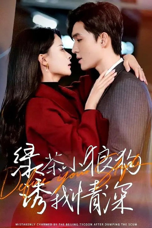 Póster de 绿茶小狼狗诱我情深