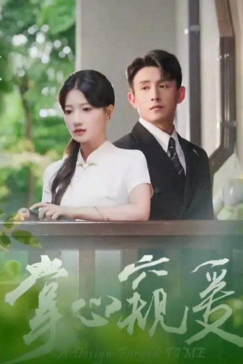 Póster de 掌心窥爱