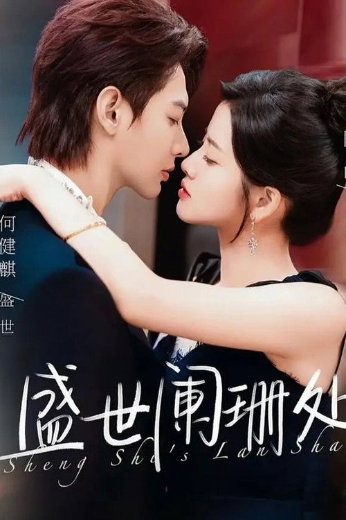 Póster de 盛世阑珊处