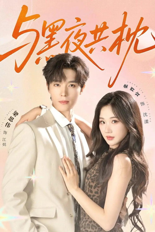 Póster de 与黑夜共枕