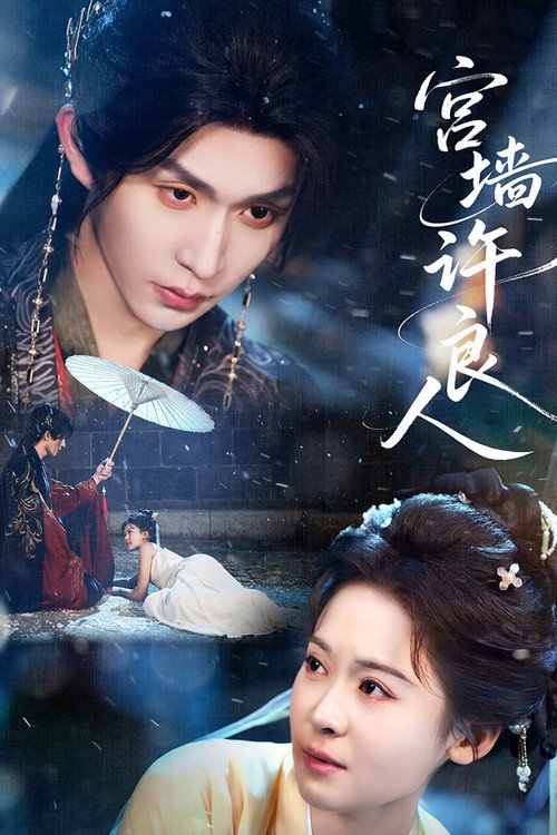 Póster de 宫墙许良人