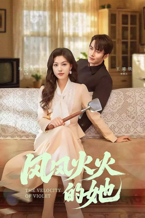 Póster de 风风火火的她