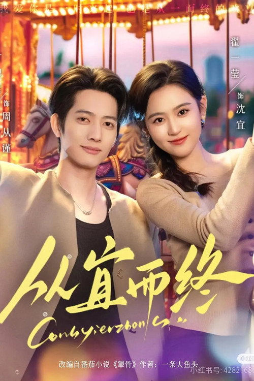 Póster de 从宜而终