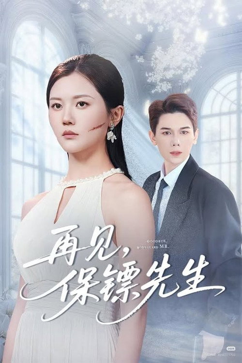 Póster de 再见，保镖先生
