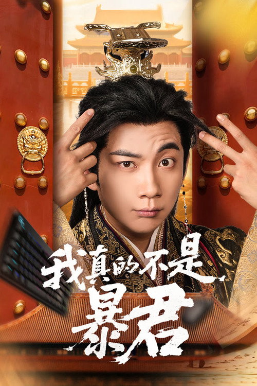 Póster de 我真的不是暴君
