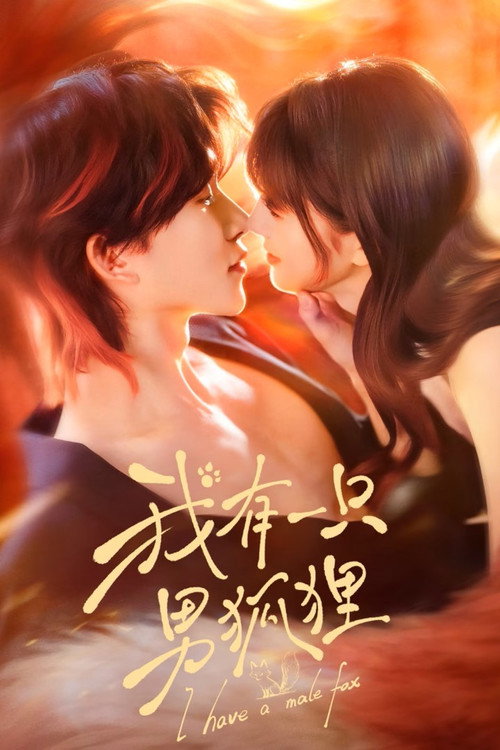 Póster de 我有一只男狐狸