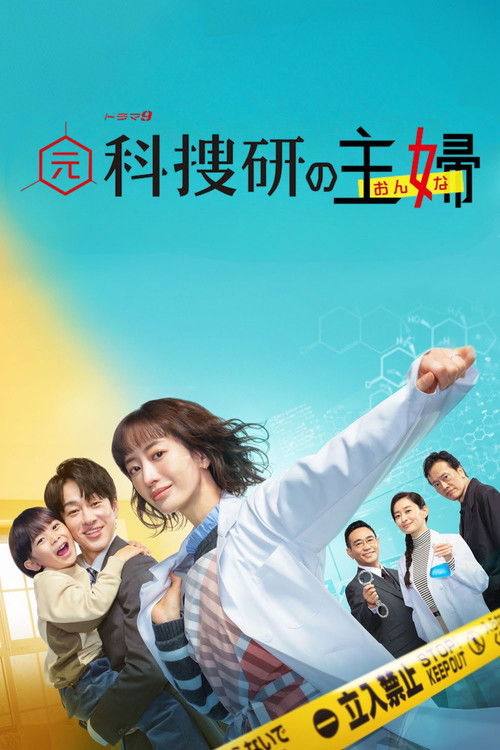 Póster de 元科捜研の主婦