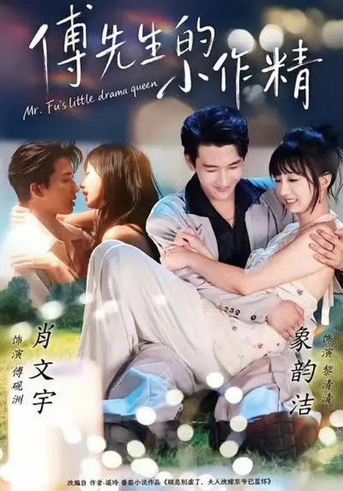 Póster de 傅先生的小作精