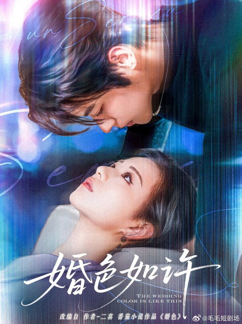 Póster de 婚色如许