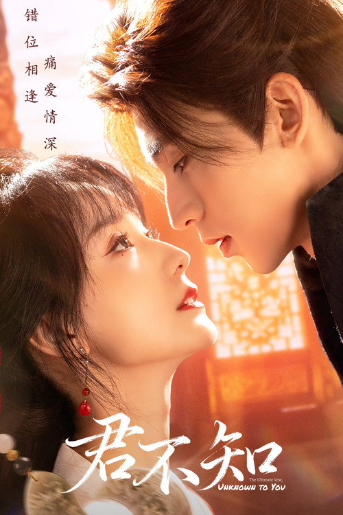 Póster de 君不知