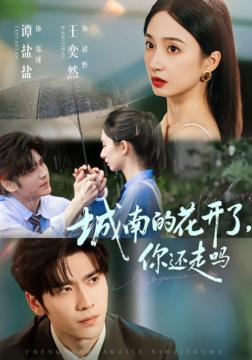 Póster de 城南的花开了，你还走吗