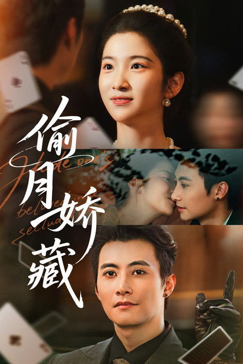 Póster de 偷月娇藏