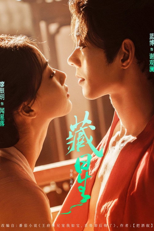 Póster de 藏星