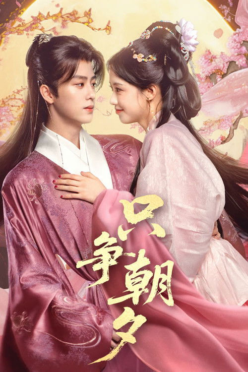 Póster de 只争朝夕