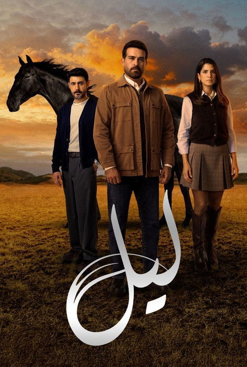Póster de Layl