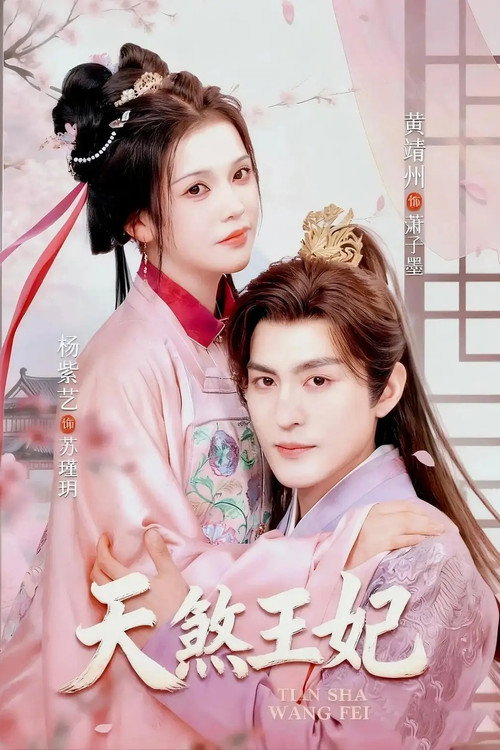 Póster de 天煞王妃