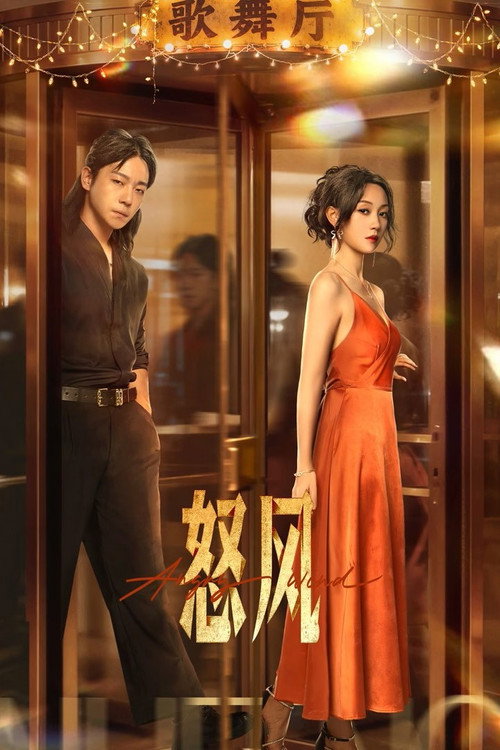 Póster de 怒风