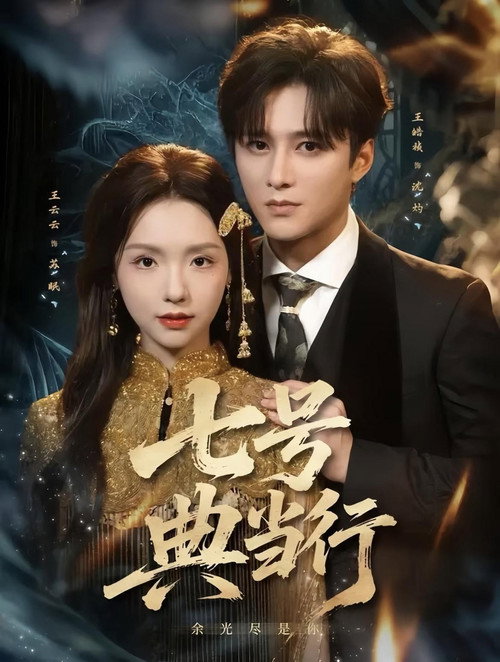 Póster de 七号典当行