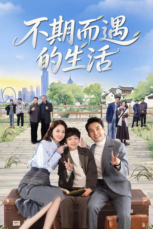 Póster de 不期而遇的生活