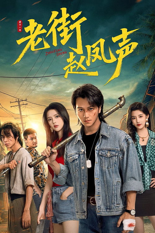 Póster de 老街赵凤声