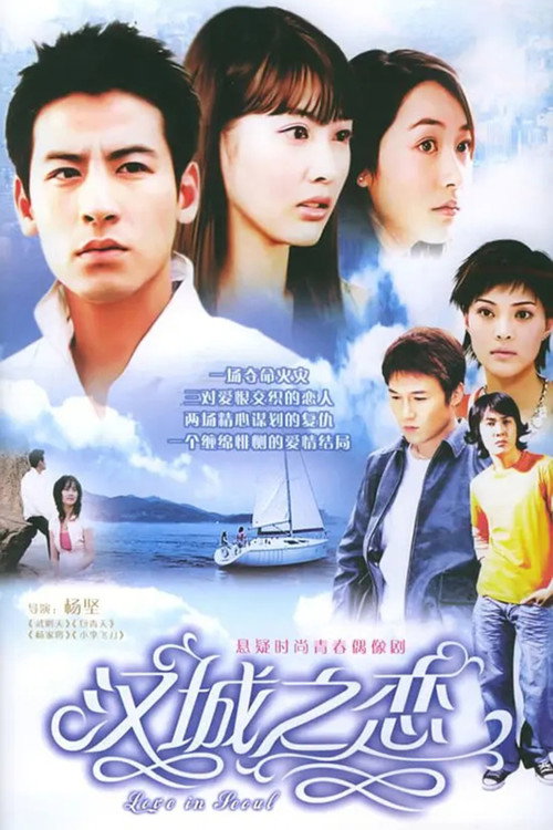 Póster de 汉城之恋