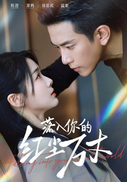 Póster de 落入你的红尘万丈