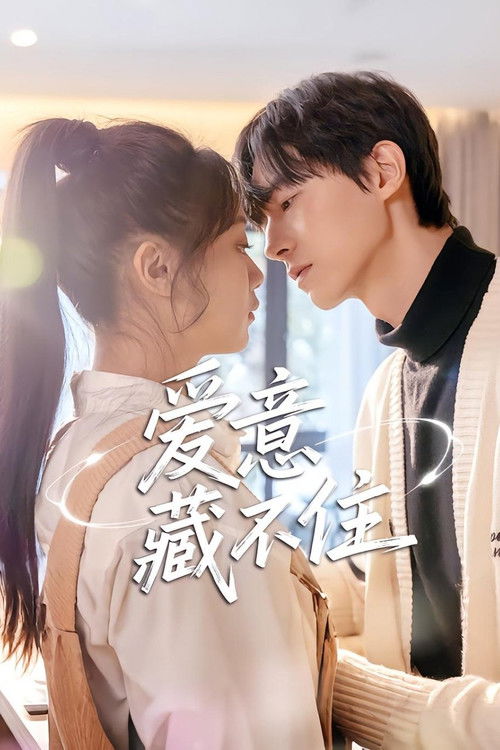 Póster de 爱意藏不住