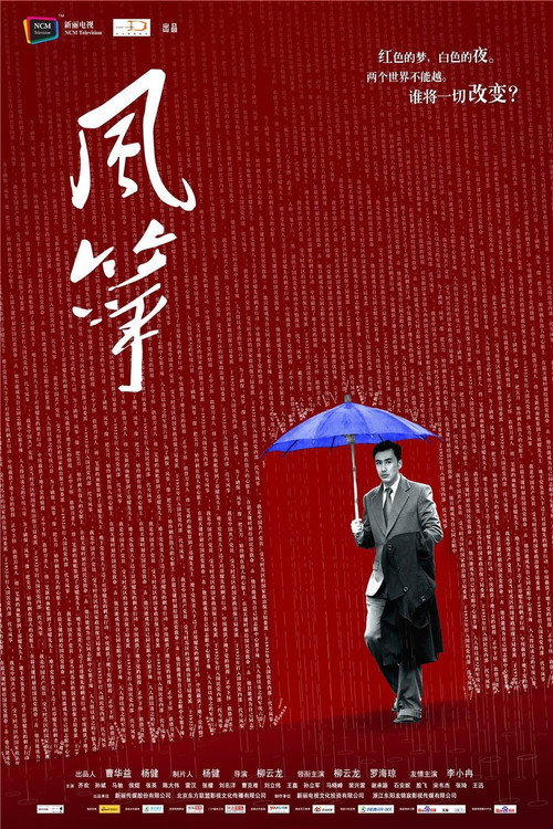 Póster de 风筝·送审版
