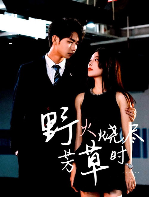 Póster de 野火烧尽芳草时