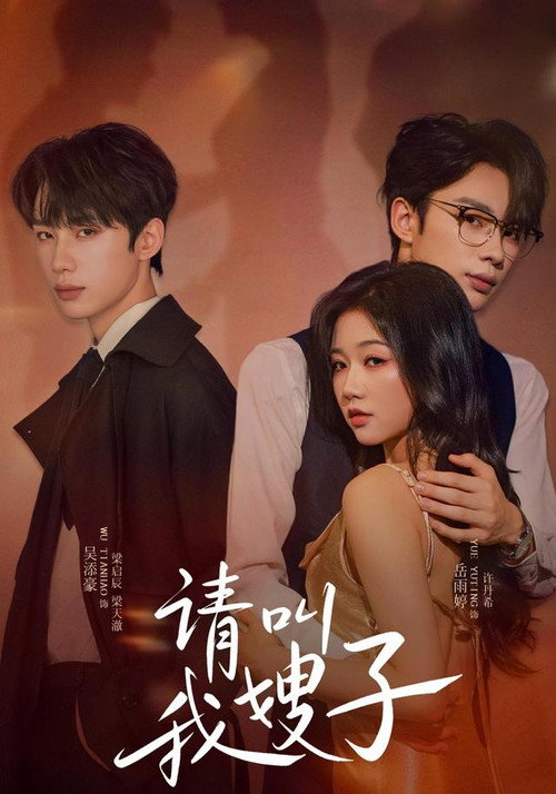 Póster de 请叫我嫂子