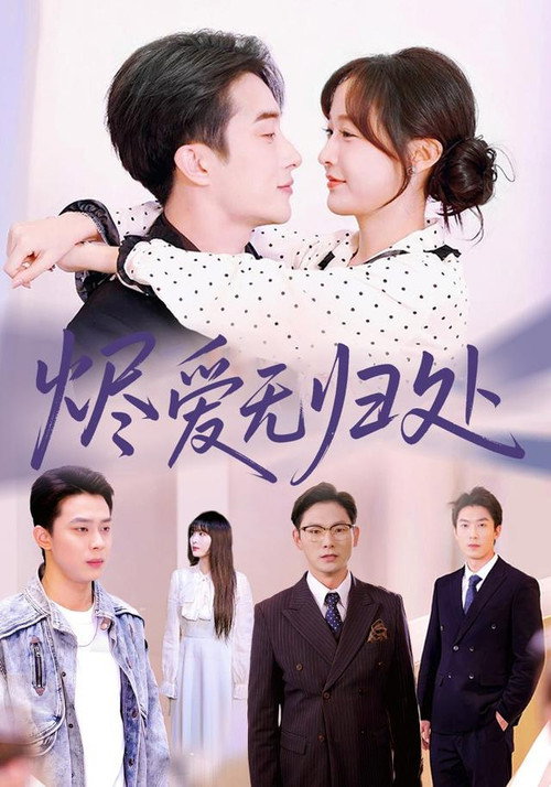 Póster de 烬爱无归处