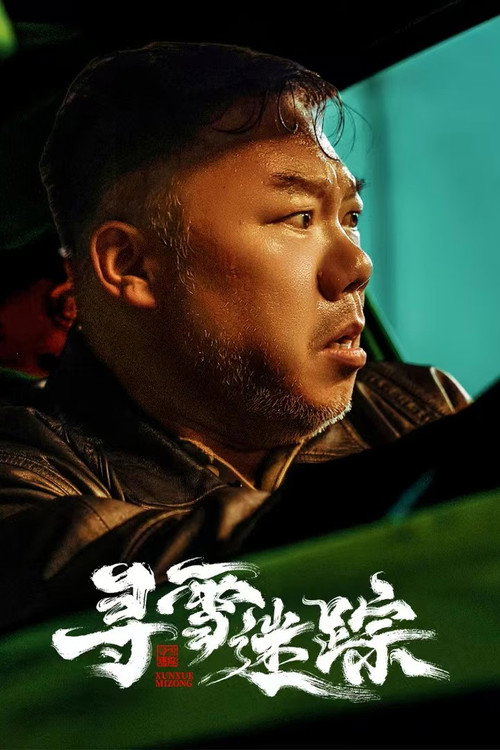Póster de 寻雪迷踪