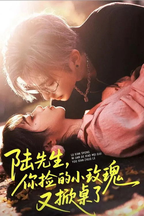 Póster de 陆先生你捡的小玫瑰又掀桌了