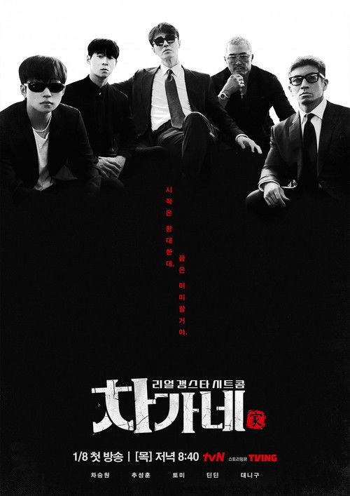 Póster de 차가네