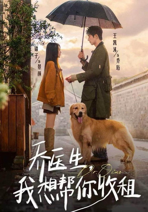 Póster de 乔医生，我想帮你收租
