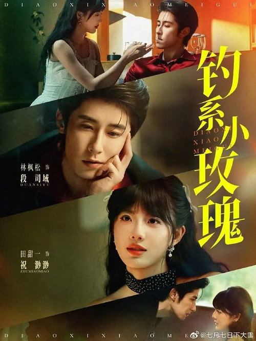 Póster de 钓系小玫瑰