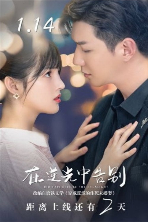 Póster de 在逆光中告别