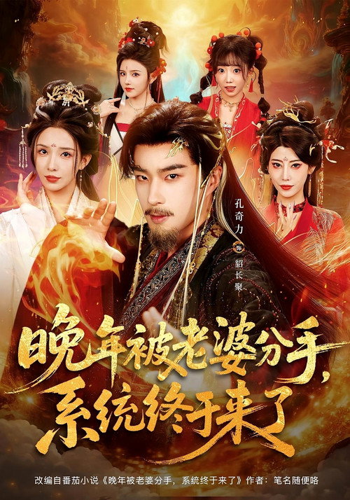 Póster de 晚年被老婆分手，系统终于来了