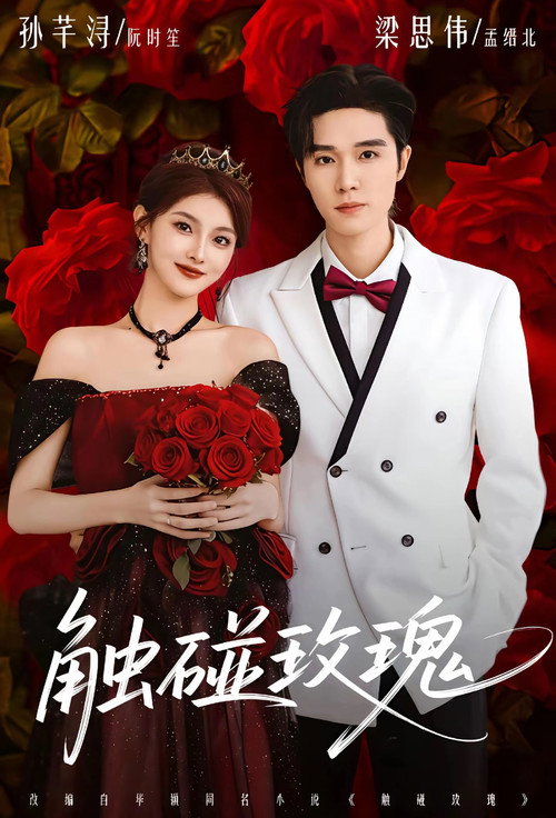 Póster de 触碰玫瑰