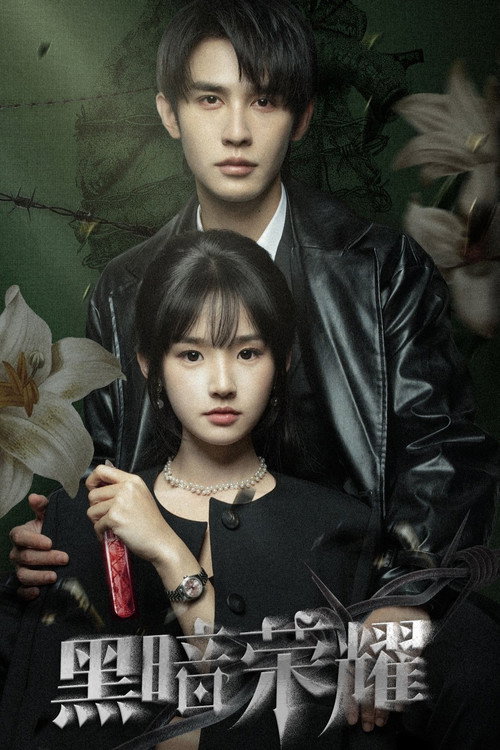 Póster de 黑暗荣耀