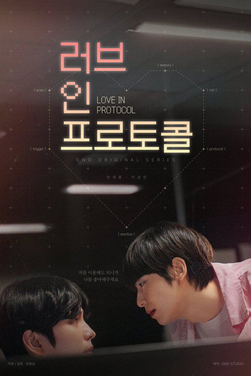 Póster de Love In Protocol