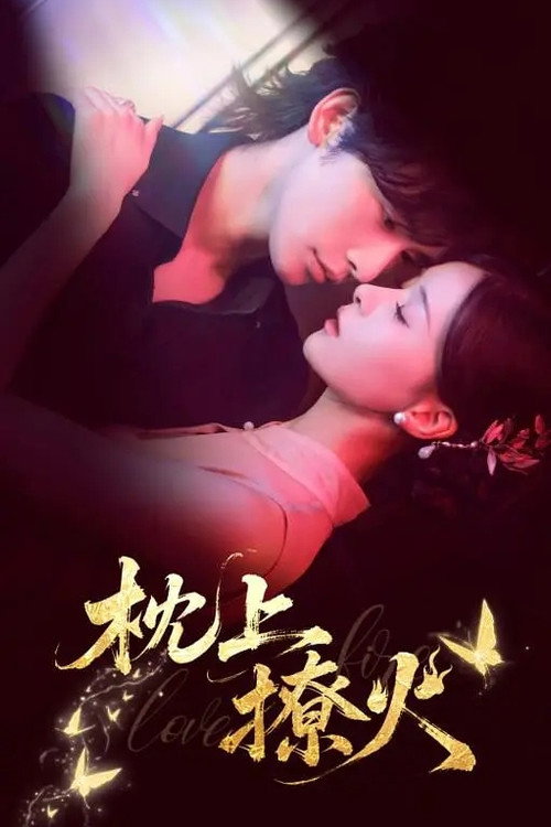 Póster de 枕上撩火