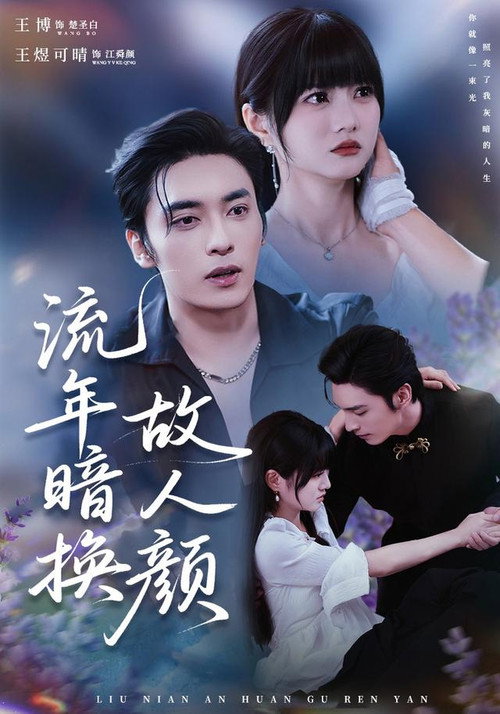 Póster de 流年暗换故人颜